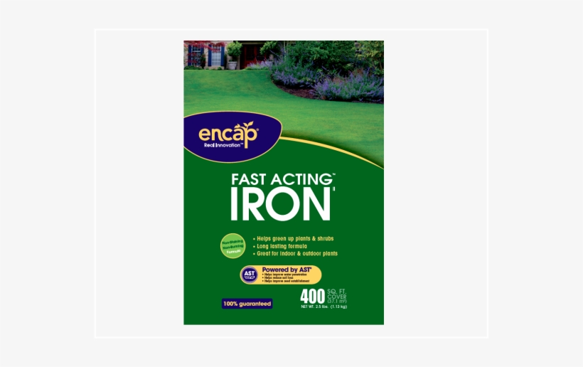 Encap Fast-acting Iron Plus - Encap Llc 11608-36 Encap Fast Acting Iron, transparent png download