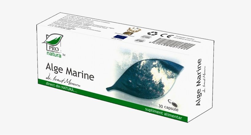 Seaweed - Algae, transparent png download