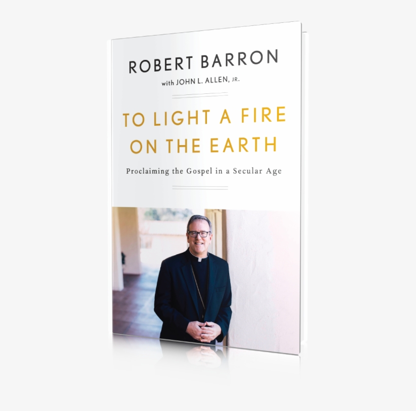 To Light A Fire On The Earth - Light A Fire On The Earth Bishop Barron, transparent png download