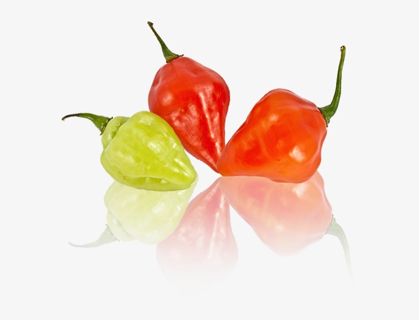 1 - Habanero Chili, transparent png download
