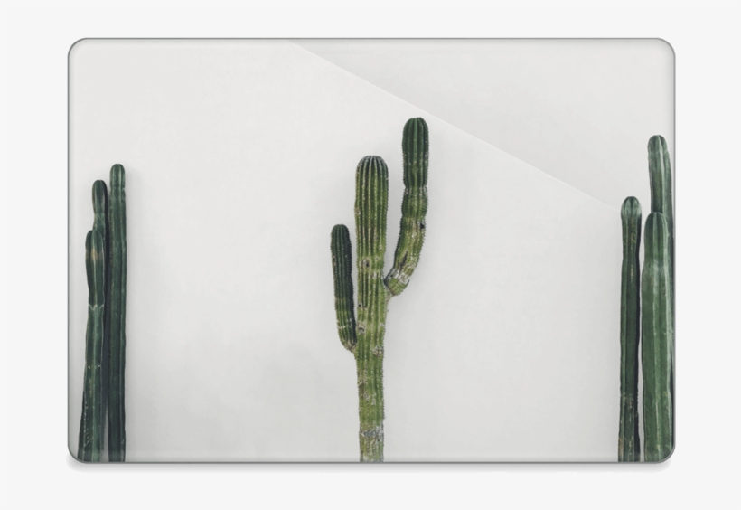 Cactus Mexicano - Macbook Pro 13-inch, transparent png download