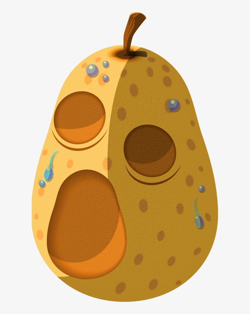 Hyoi Pear, transparent png download