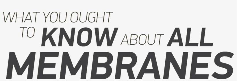 All Membranes, No Matter What Brand Or Construction, - Black-and-white, transparent png download