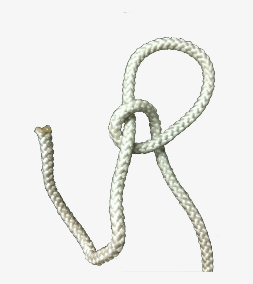 The Exploded Kalmyk And The Bowline With A Bight (right) - Rope, transparent png download