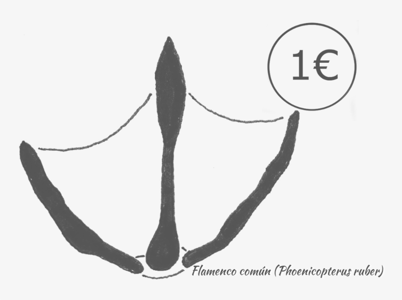 Datos De La Especie - Figure Drawing, transparent png download