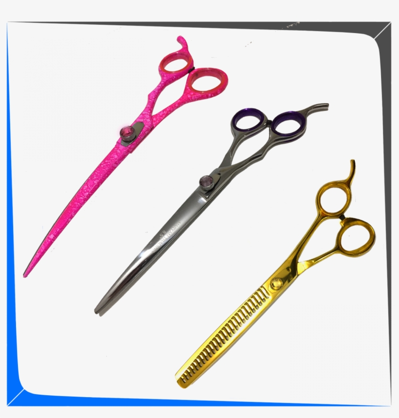 Ref - - Fashion Accessory, transparent png download