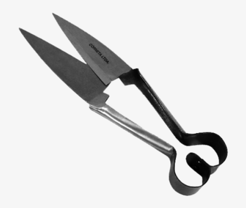 Tesoura De Crina Corneta, transparent png download