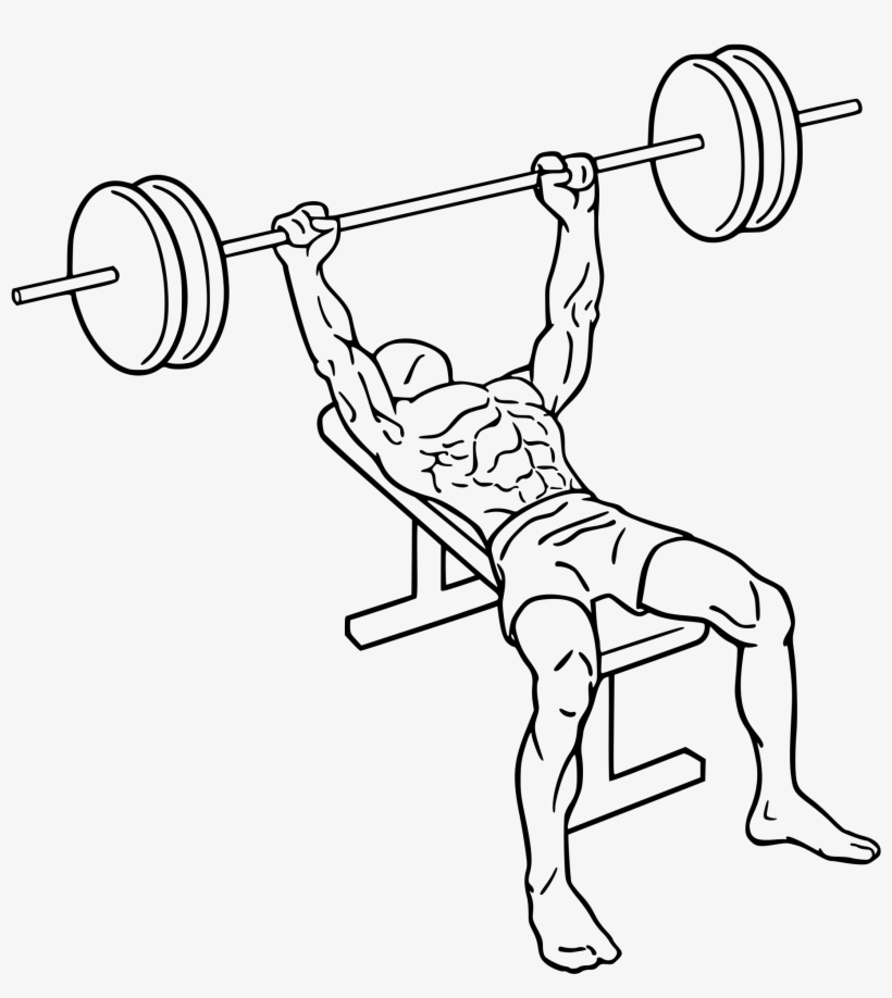 Bench Press - Bench Press Png, transparent png download