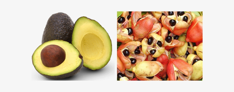 Ackees And Avocados Are Two Unique Fruits In That Both - Jamaican Ackee And Saltfish, transparent png download