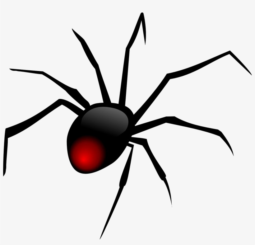 Dibujo Araña Png - Spider Clipart Png, transparent png download