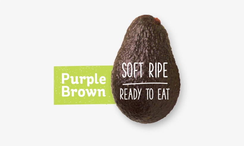 Purple Brown Avocado - Ripened Avocados, transparent png download