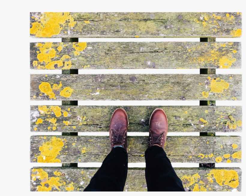 Bridge Web Wooden Bridge - Bridge, transparent png download