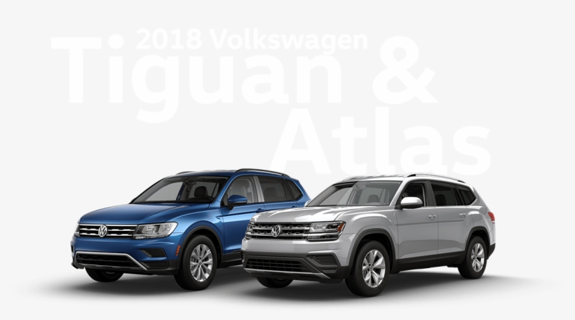 Introducing Lots Of New - Warranty, transparent png download