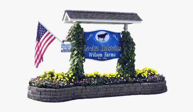 Le-ara Farms - Flag Of The United States, transparent png download