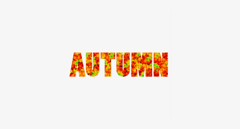 Inscription Autumn From Maple Leaves, Autumn, Leaves, - Autumn, transparent png download