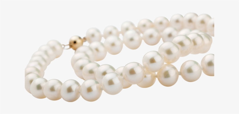 White Pearl Necklace - Pearl, transparent png download