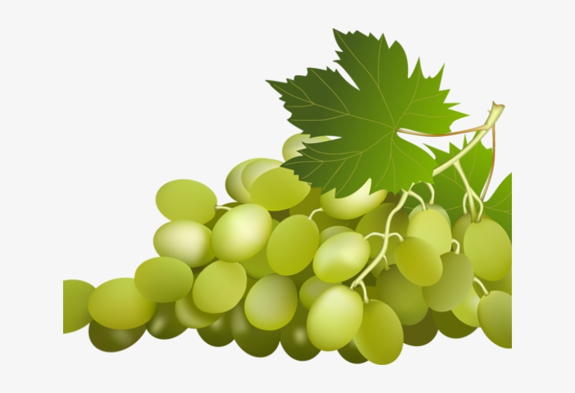 Grapes Clipart Grape Leaf - Green Grapes Clipart, transparent png download