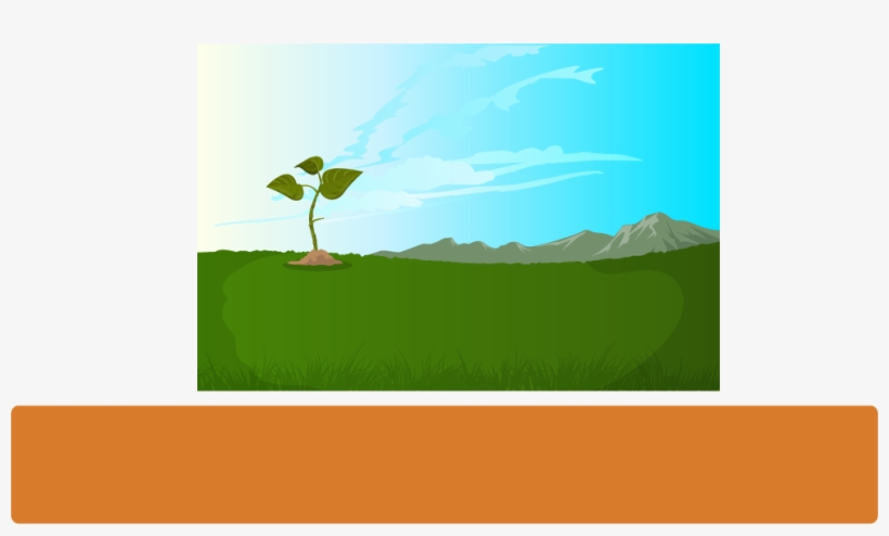 Había Una Vez Una Planta Que Crecía Fuerte Y Sana Mientras - Illustration, transparent png download