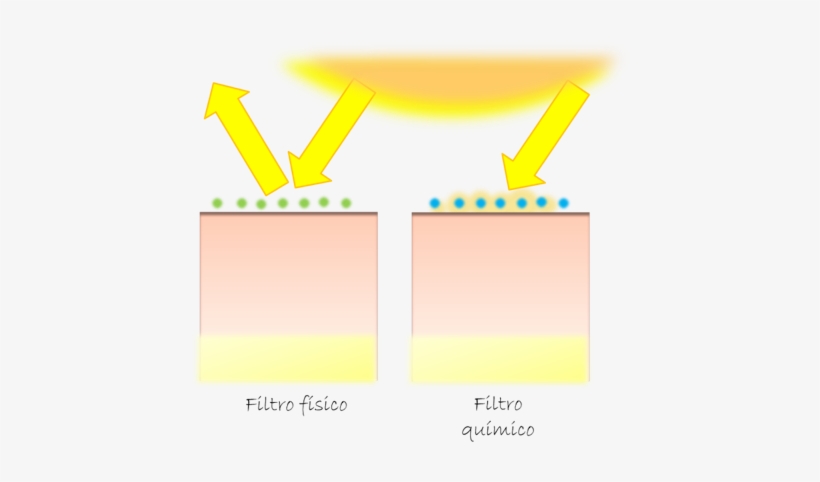 Los Filtros Físicos O Inorgánicos O Minerales Actúan - Physicist, transparent png download