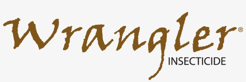 War's Nomads By Frederik Grice, transparent png download