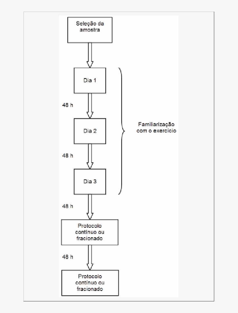 Delineamento Experimental Utilizado No Presente Estudo - Diagram, transparent png download