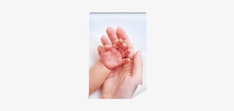 Female Hand Holding Newborn Baby's Hand Wall Mural - Melhores E Mais Belas Maneiras De Dizer Mae, transparent png download