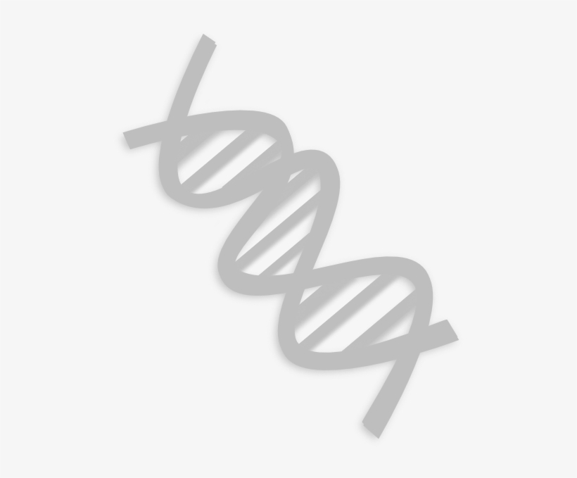 How To Set Use Dna Clipart - Clip Art, transparent png download