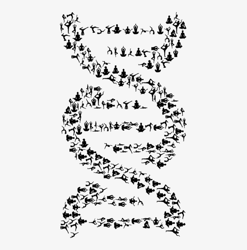 All Photo Png Clipart - Dna Black And White Clipart, transparent png download