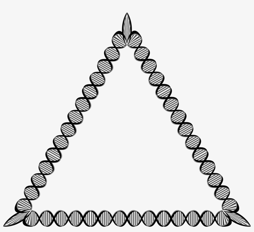Dna Triangle, transparent png download