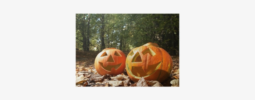 Creepy Carved Pumpkin Face, With A Smile, In Park Poster - Face, transparent png download