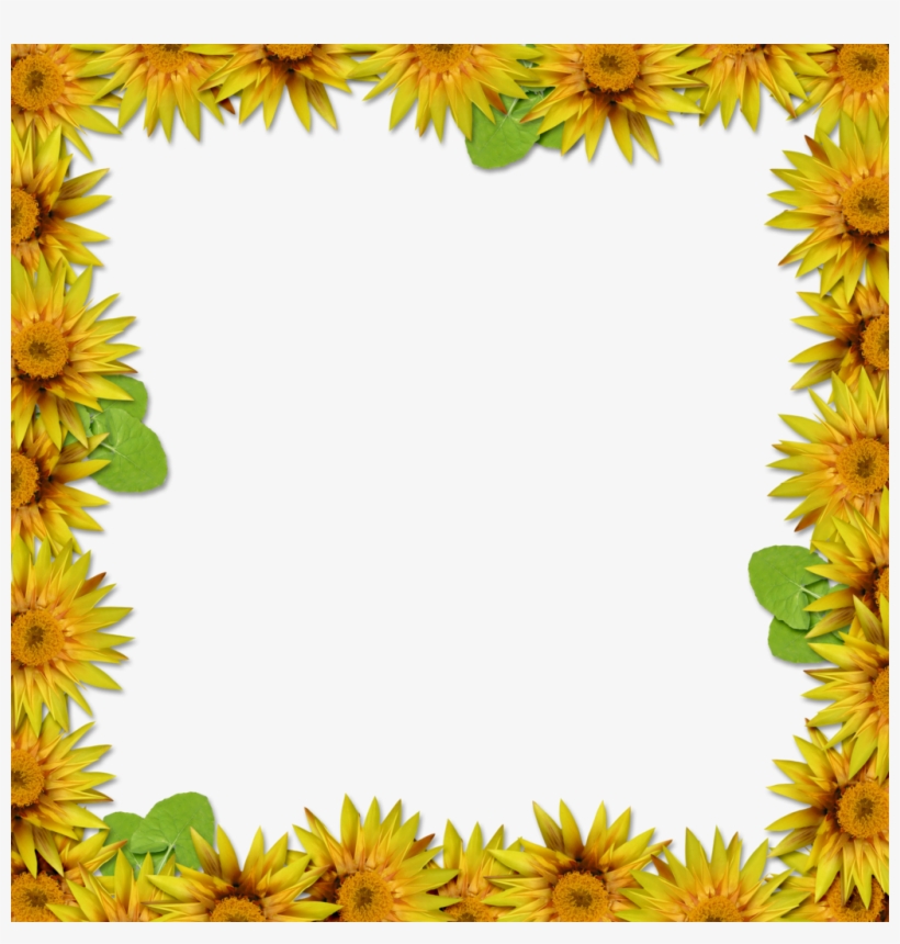 Flower Frame Portrait Hd, transparent png download