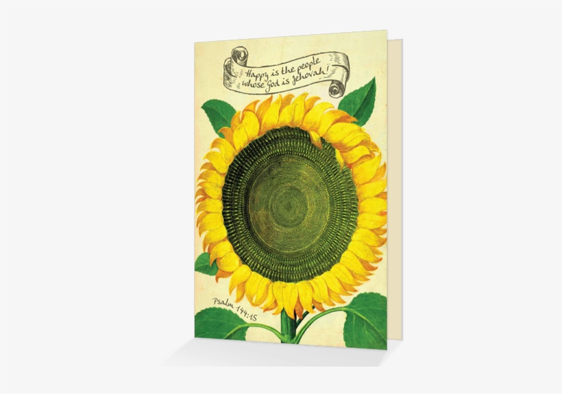 A Bright Cheerful Vintage Sunflower Illustration Adorns - Vintage Sunflower Seed Packets, transparent png download