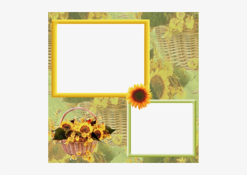 Sunflowers Frames - Picture Frame, transparent png download