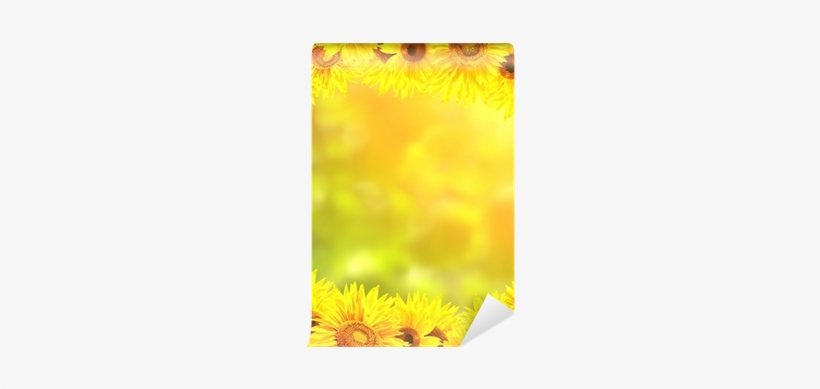 Frame With Bright Yellow Sunflowers Wall Mural • Pixers® - Sunflower, transparent png download