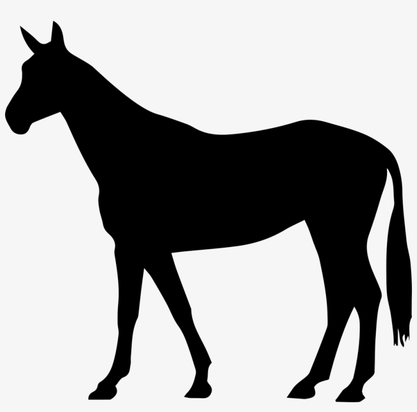 Horse Thin Black Standing Shape Of Long Tail Facing - Horse Shape, transparent png download