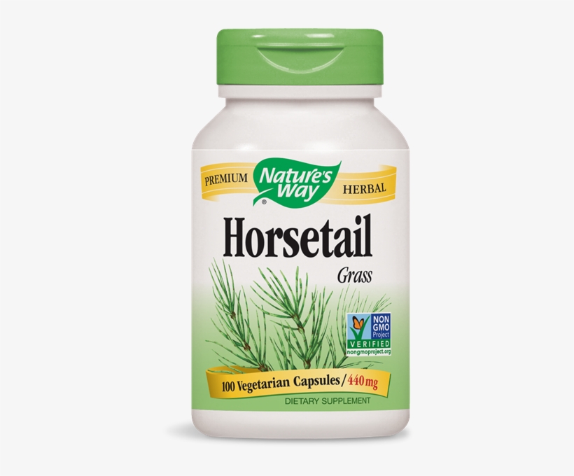 14300 - Horsetail Grass - Nature's Way Horsetail Grass, 440 Mg, 100 Capsules, transparent png download