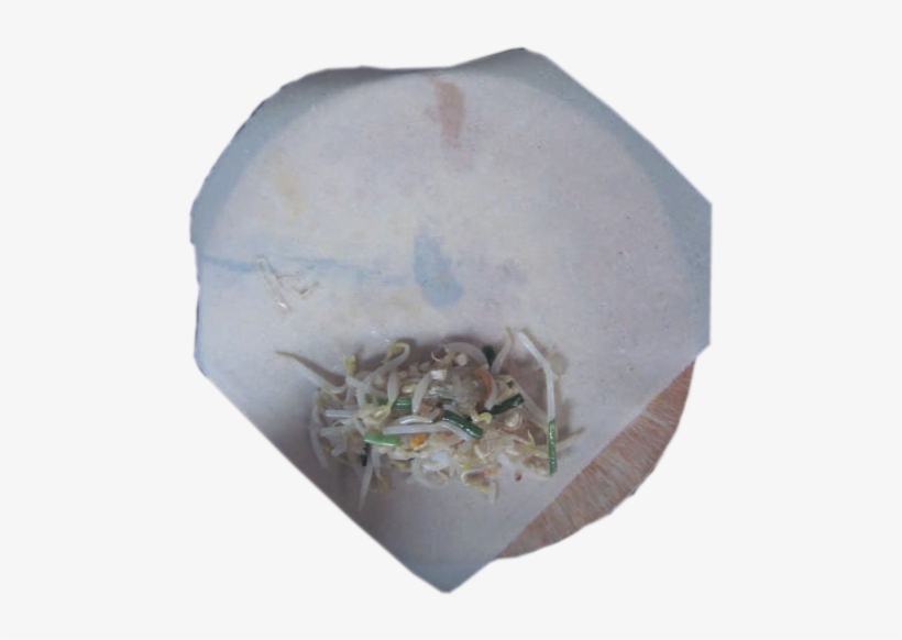 How To Roll - Chesapeake Blue Crab, transparent png download