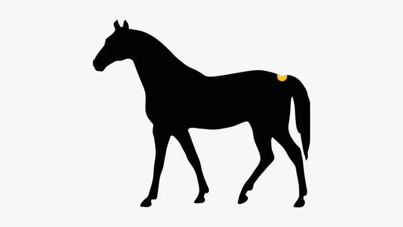 How Would You Describe The Girth Of The Horse - Harry Potter Doe Silhouette, transparent png download