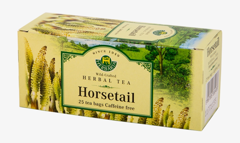 Horsetail Tea, 25 Tea Bags - Hypericum Perforatum Tea, transparent png download