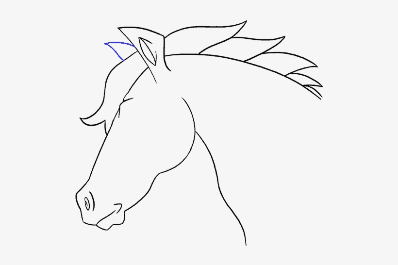 How To Draw A Horse's Head - Drawing, transparent png download