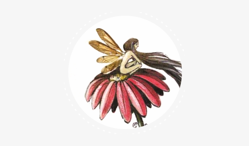 Field Horsetail - Powder - Black-eyed Susan, transparent png download