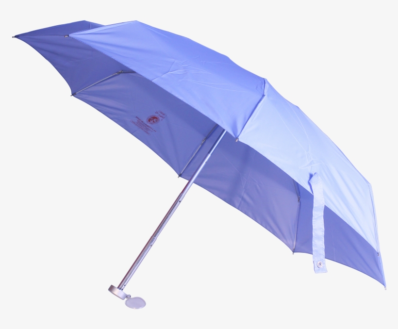 More Views - Umbrella, transparent png download
