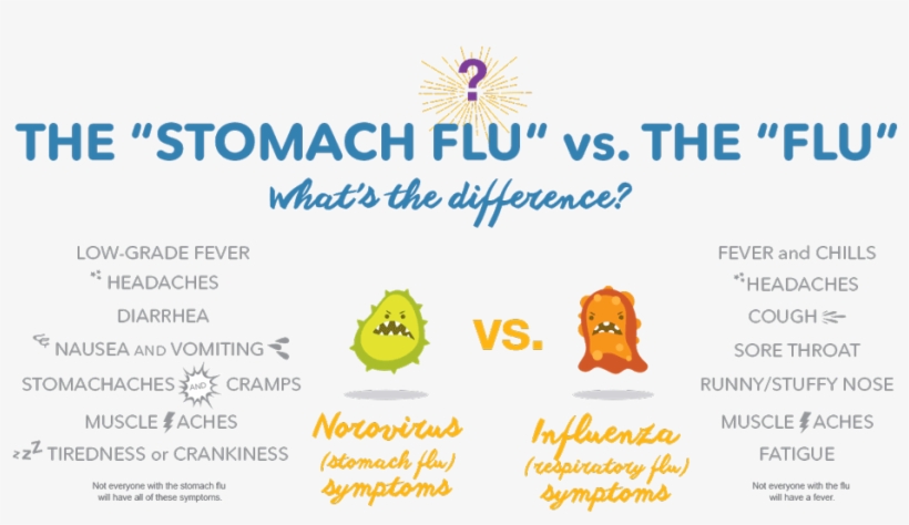 The Difference Between Stomach Flu And - Difference Between Flu And Stomach Flu, transparent png download