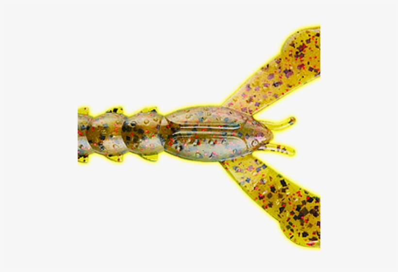 Dragonfly, transparent png download