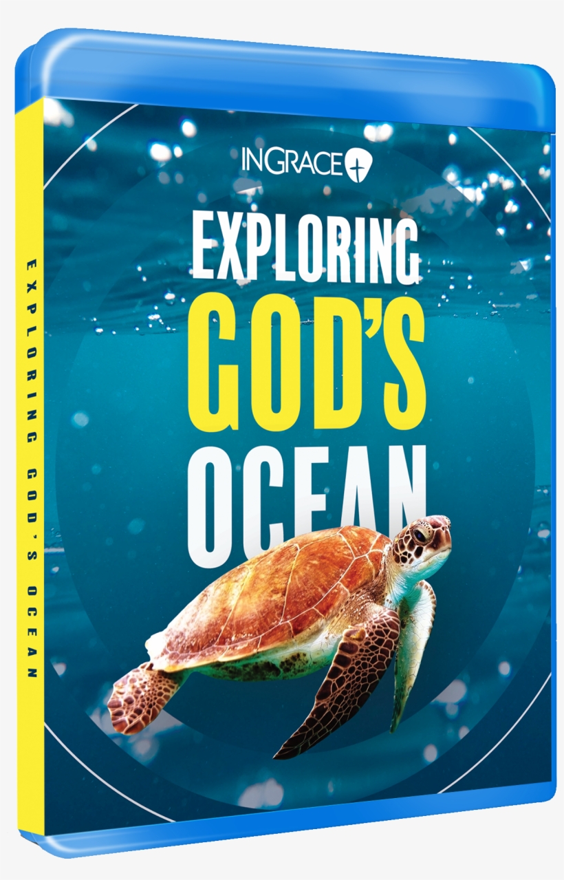 Exploring God's Ocean Blu-ray - Crab, transparent png download