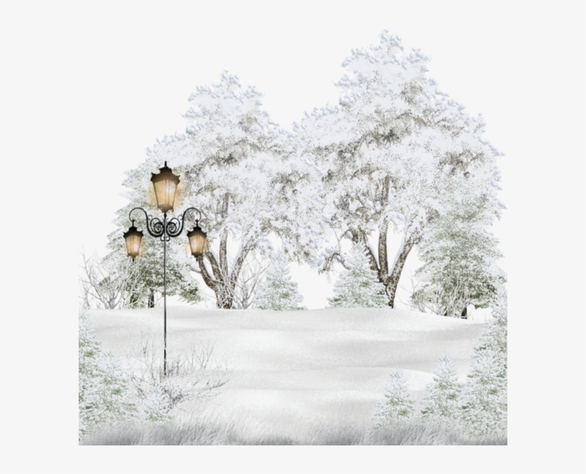 Snow Winter Landscape Tree Lamp Light Christmas - Snow, transparent png download