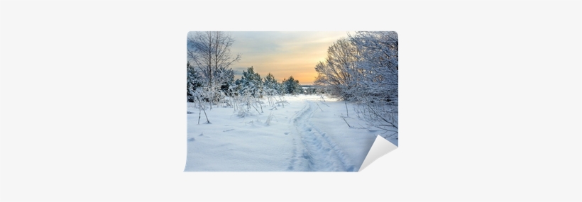 Winter, transparent png download