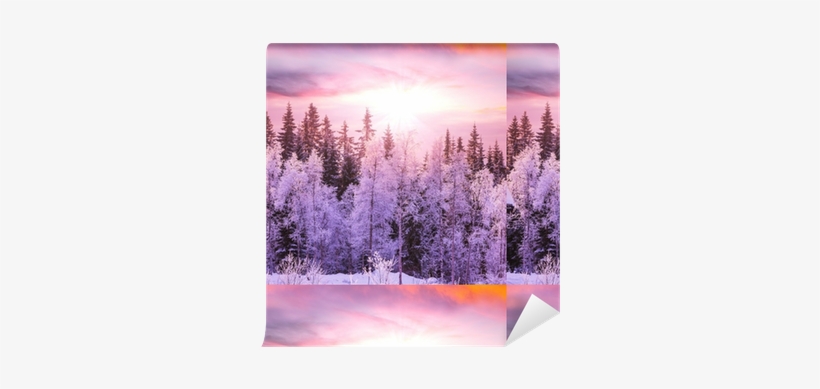 Winter, transparent png download