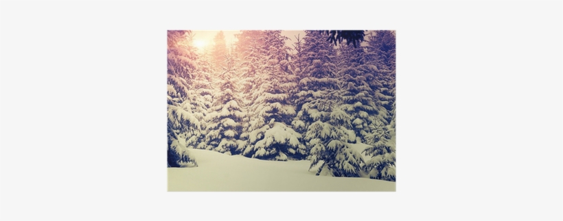 Landscape, transparent png download