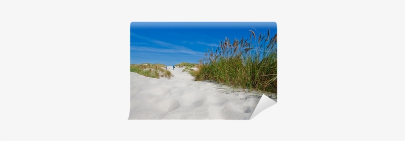 Couple Walking In The Sand Dunes With Beach Grass Wall - Ameland, transparent png download